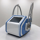 macchina di congelamento grassa portatile di 110V 60Hz, attrezzatura elettrica di stimolazione del muscolo