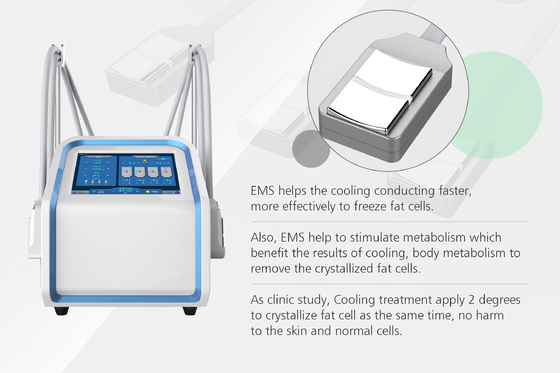 4 macchina delle maniglie 30Hz Cryolipolysis SME per il dimagramento del corpo