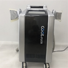 La macchina di dimagramento di congelamento grassa di vendita della macchina calda di Cryo con doppio Cryo tratta la cavitazione ultrasonica la rf FreezeSlimming grasso