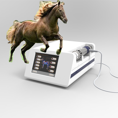 Macchina equina extracorporea radiale di fisioterapia di Shockwave