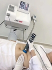 Macchina grassa portatile della macchina di congelamento di Cryolipolysis + di terapia di Shockwave che dimagrisce corpo Cina