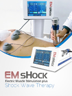 Stimolazione di brillamento del muscolo di terapia di EWST della macchina della pietra elettromagnetica di Shockwave