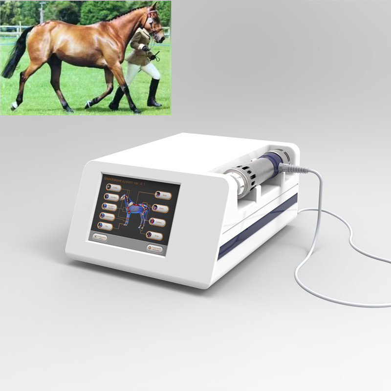 macchina equina di terapia dell'onda di urto 1Hz per i cavalli
