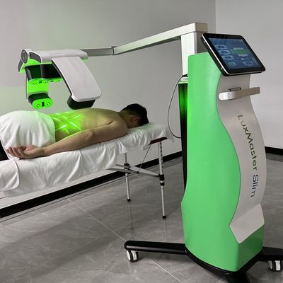 Dispositivo per la perdita di peso dei diodi 532NM della macchina 10D per la terapia laser a freddo